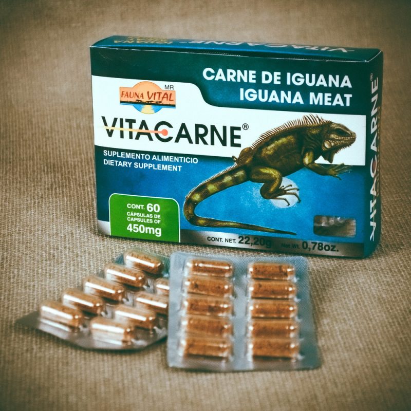 Carne de Iguana