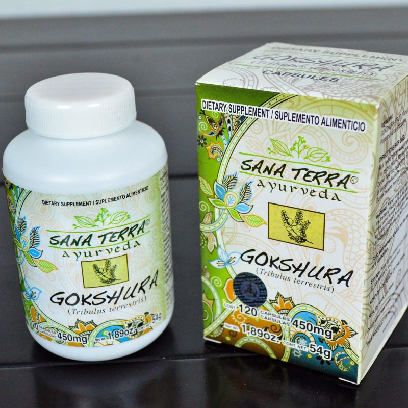GOKSHURA Planta Medicinal de Ayurveda - Image 4