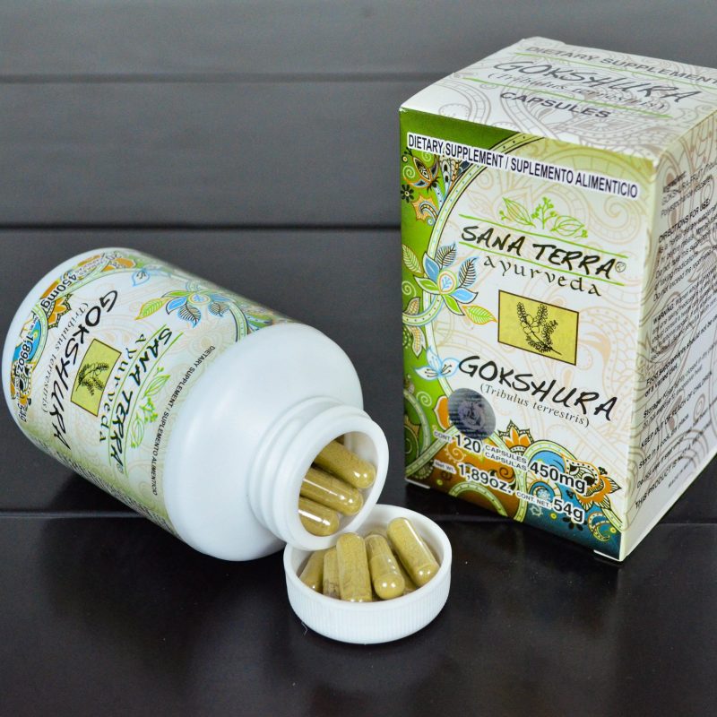 GOKSHURA Planta Medicinal de Ayurveda - Image 3