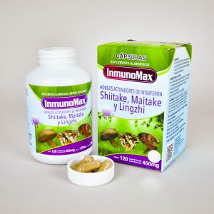 HONGO SHIITAKE, MAITAKE Y LINGZHI