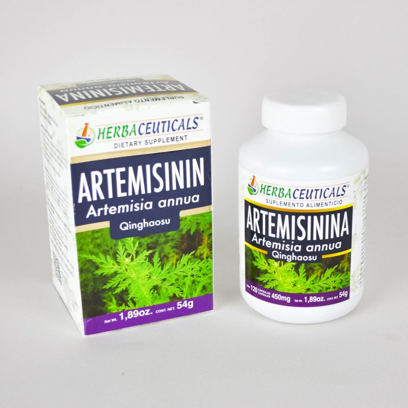 ARTEMISININA (Artemisia annua) - Image 5