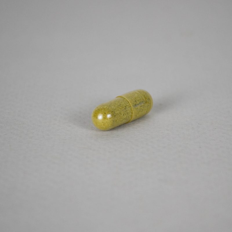 HONGO del SOL - Image 3