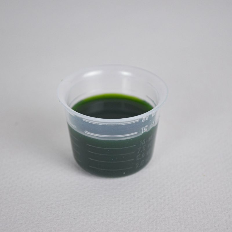 Artemisinina (Artemisia annua) - Image 2