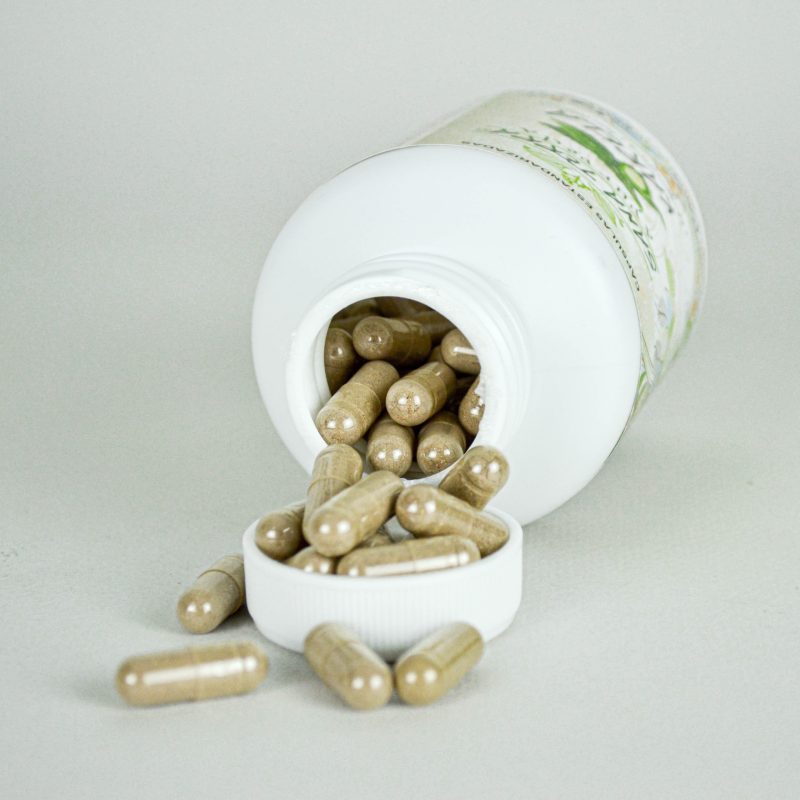 Karela - Image 2