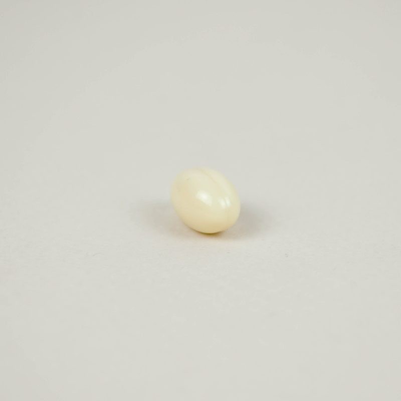 ARGININA con ZINC - Image 2