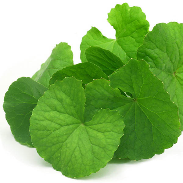 BRAHMI