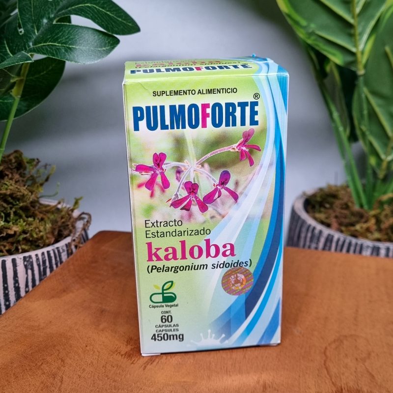 KALOBA (Estandarizado) - Image 2