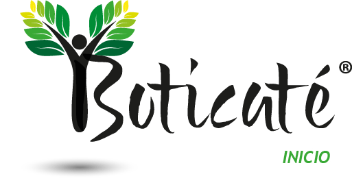 Logo WEB punto com